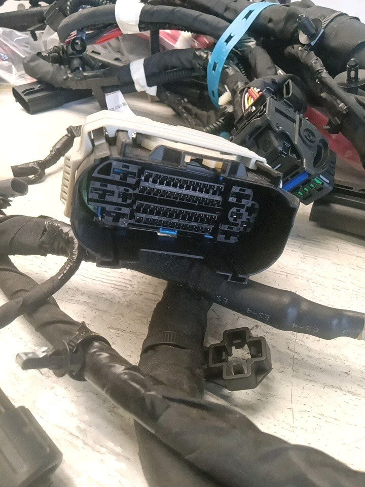 2022-2025 Lucid Air Wire Main Harness P11-J52402-01 NEW! OEM